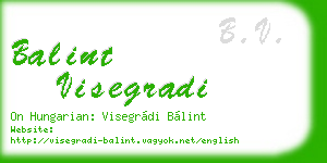 balint visegradi business card